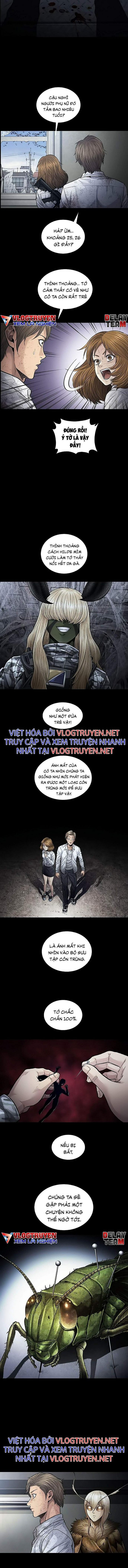 Đọc truyện Hive - Thảm họa ong độc - Chap 265